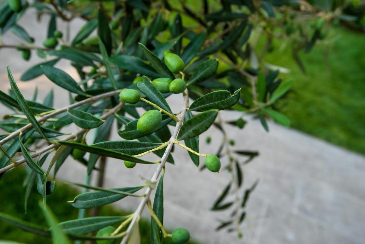 Olive 101 Apartment Peraía Exterior foto